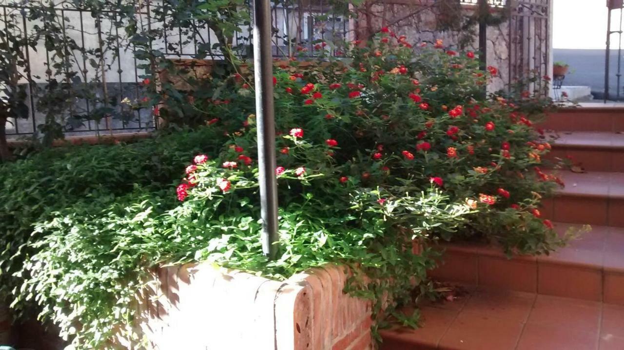 Ferienwohnung Casa Dell'Oleandro Gallodoro Exterior foto