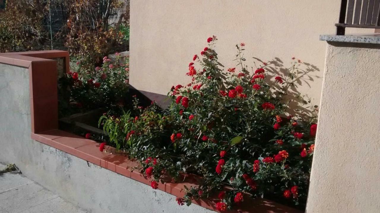 Ferienwohnung Casa Dell'Oleandro Gallodoro Exterior foto